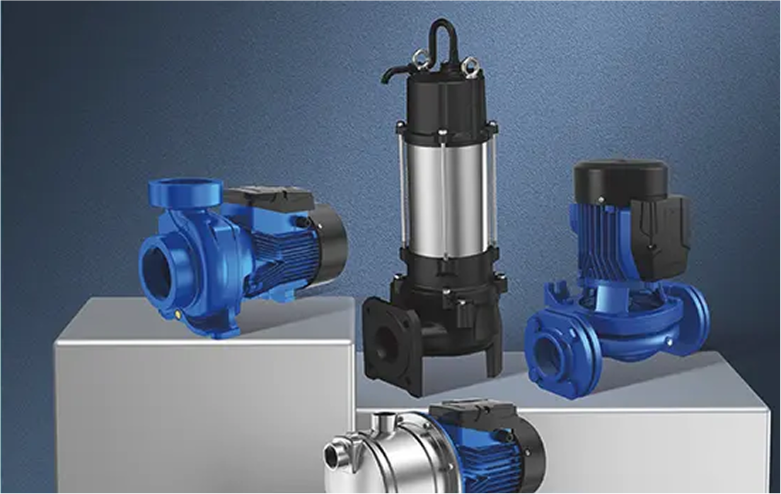 House & Office Container